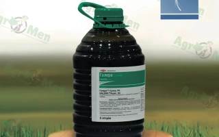 ГАЛЕРА Супер, РК