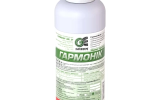 ГармоникWG в.г.+ ПАР «Ескорт»