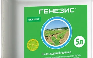 Генезис, РК