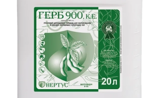 Герб 900