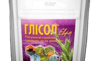 Глисол Евро