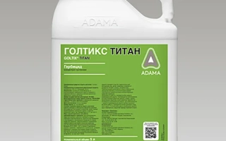 Голтикс Титан, КС