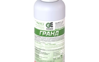 Гранд WG в.г.