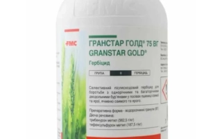 Гранстар Голд 75, ВГ