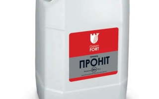 Ґрінфорт Проніт