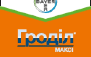 Гродил Макси 375 ОD