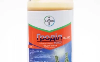 Гродил Макси 375ОD