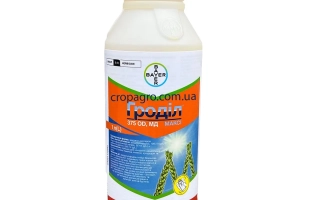 Гродил Макси ОD