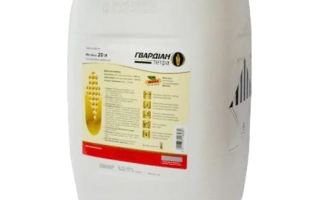 Гвардиан Тетра