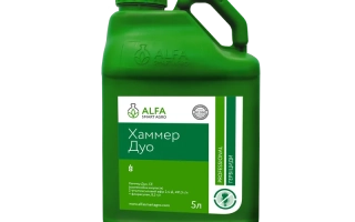 Молот Дуо, СЕ