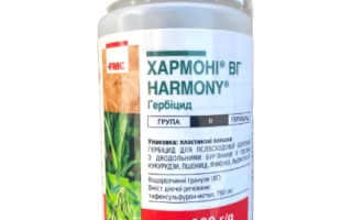 Хармони 75 в.г.