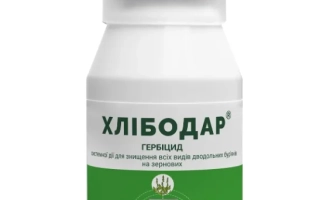 Хлибодар, с.е.