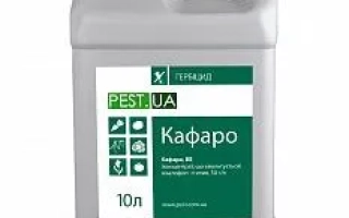 Кафаро