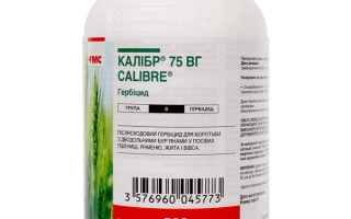 Калібр 75, в.г., (Трибенурон-метил, 250 г/кг+тифенсульфурон-мети