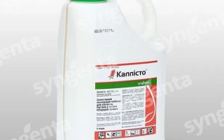 Каллисто 480 SС