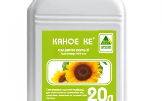 White container with label KANOE KE and sunflower images