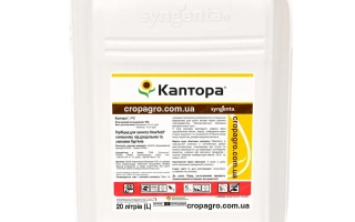 Kaptor, РК, (Имазамокс, 33 g/l + Имазапир, 15 g/l)