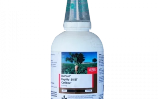 КАРИБУ 50, З.П., + ПАР ТРЕНД 90