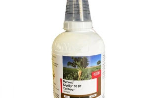 Катана, з.п., (Трифлусульфурон-метил, 500 г/кг)