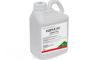 Kideka®, КС (мезотрион, 100 г/л)