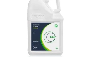 Кинг, КС, гербицид