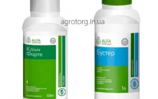 Клинч Форте