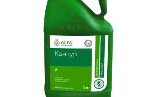 Конкур, КС, гербіцид