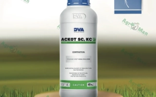 КОНСУЛЬТАНТ, КС