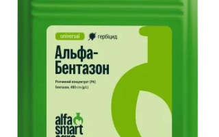 КОВЧЕГ, РК, (Бентазон, 480 г/л)