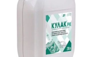 Кулак РК