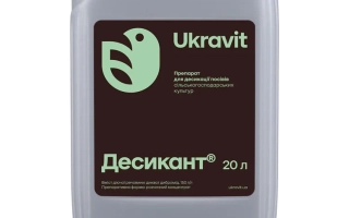 Квад Супер к.с.