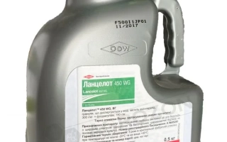 Ланцелот 450 WG