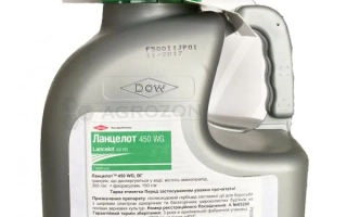 Каністра гербіциду Ланцелот 450WG з етикеткою та зеленою кришкою