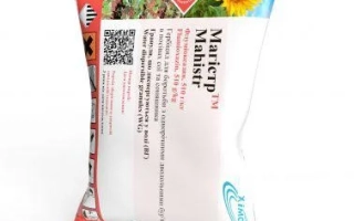 Магистр, в.р.к.