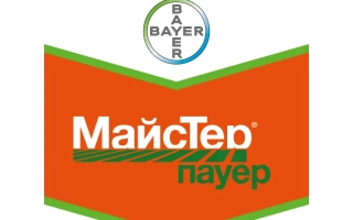 Майстер Пауэр