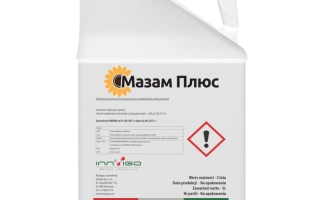 Мазам Плюс, РК