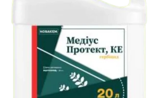 Медиус Протект