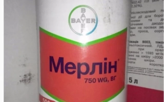 Мерлин 750WG