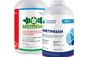 Метризан, ВГ