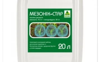 Мезоник-Стар