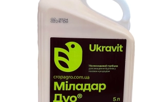 Міладар ДУО