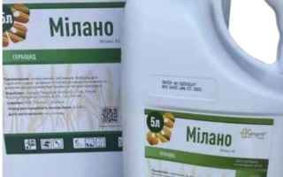 Milano, KS (nicosulfuron, 40 g/l)