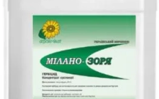 Милано М-Зоря