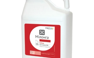 Милонга, СЕ