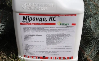 Миранда, КС