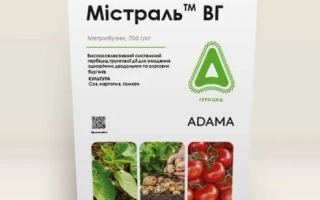 Мистраль ТОП, КС