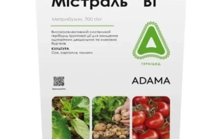 Мистраль Вг