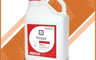 МИУРА К.Е.