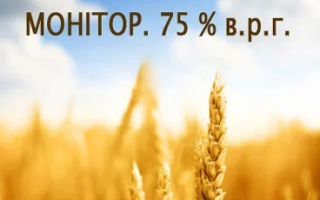 Зерновые колоски на фоне неба с надписью МОНИТОР. 75 % в.р.г. - Монитор 750