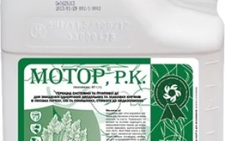 Motor, РК (имазамокс, 40 g/l)